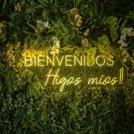 001 Higos Boutique Singular