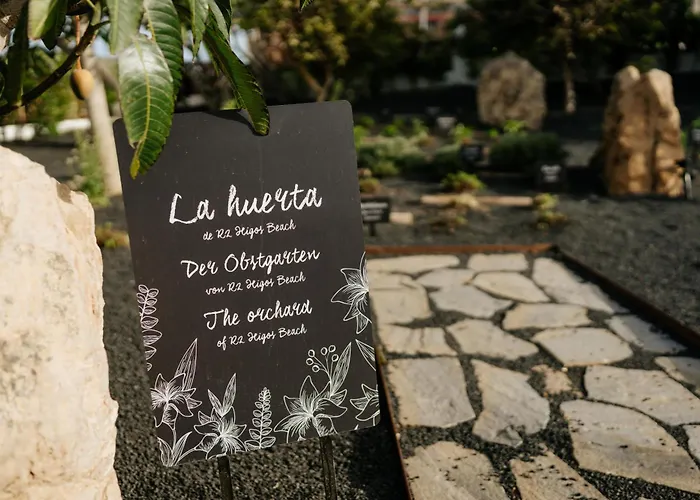 R2 Higos Коста Калма